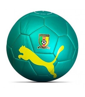 Puma Cameroon Football 2