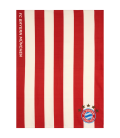 Bayern Munich Team Blanket