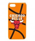 Chicago Bulls - iPhone 5/5S case