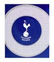 Tottenham Hotspur Team Blanket